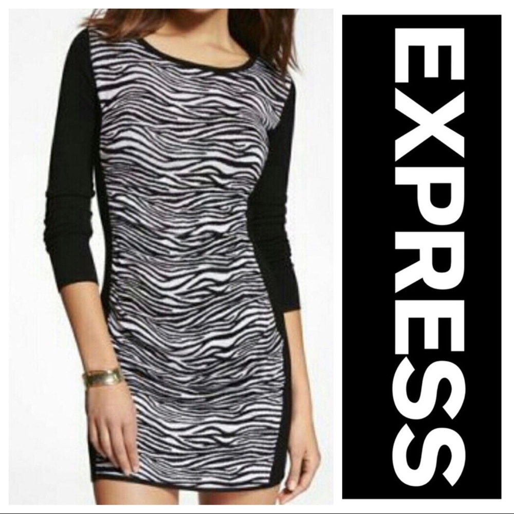 Express Zebra Print sweater dress